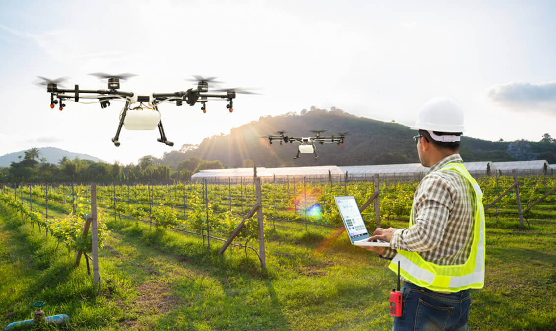 drones-agriculture-techpaf